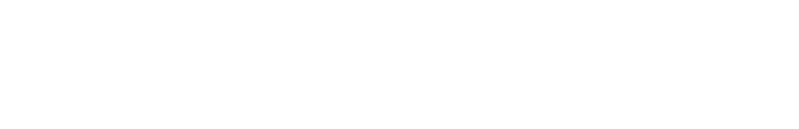 Text logo saying "N-EXPO" in black.